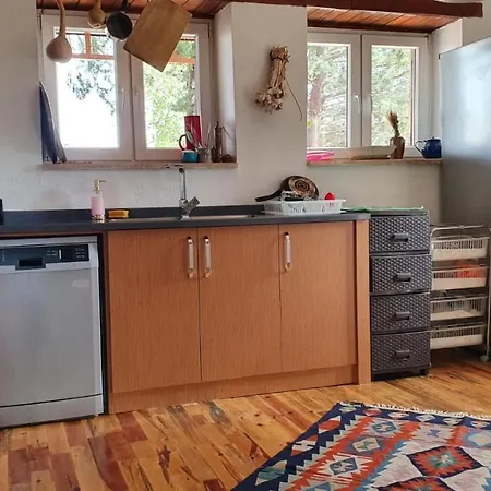 Antik