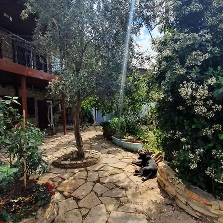 Antik Apartament